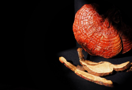 Reishi – proč je důležitý obsah triterpenů?