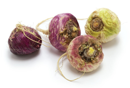 Maca peruánská a její druhy?