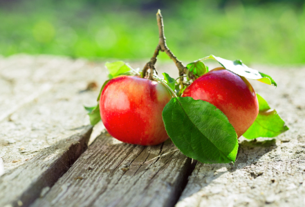 Na co je dobrá acerola?