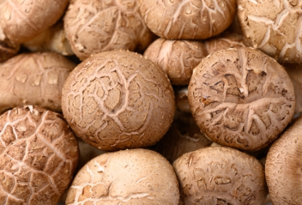 Shiitake a její vliv na naše zdraví?