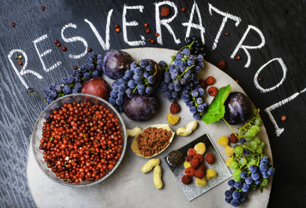 Resveratrol - silný přírodní antioxidant
