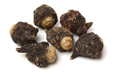Maca černá – jaké má přednosti?