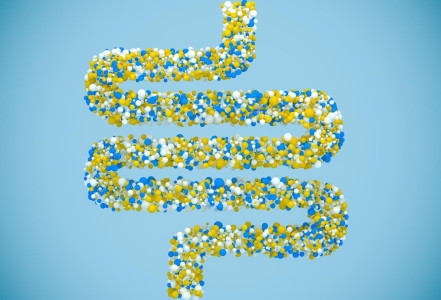 Jak pečovat o svoje zažívání?