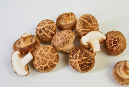 Shiitake neboli houževnatec – významná medicinální houba pro imunitu i vitalitu