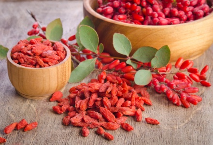 Goji (kustovnice čínská) – proč je vhodné užívat její plody?