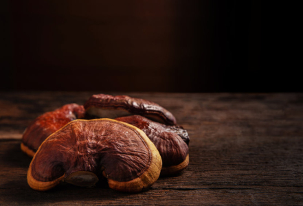 Reishi – kdy a jaké koncentrace zvolit a proč je důležitý obsah triterpenu?