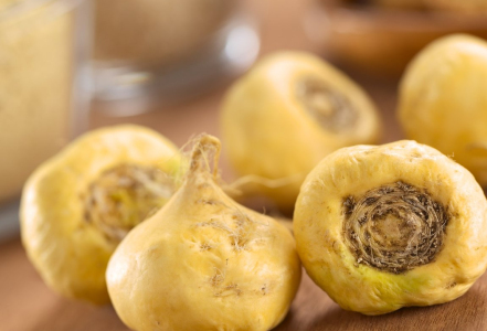 Maca peruánská a její neuvěřitelná přírodní síla!!