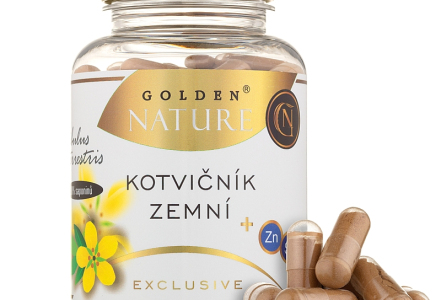 Proč je vhodné kombinovat kotvičník se selenem a zinkem?