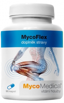 KOMPLETNÍ SORTIMENT - MycoMedica MycoFlex 90 cps.