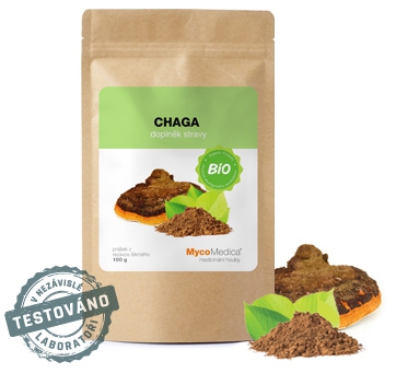 BIO Chaga prášek 100g