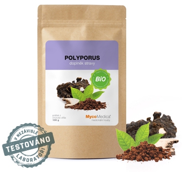 BIO Polyporus prášek 100g