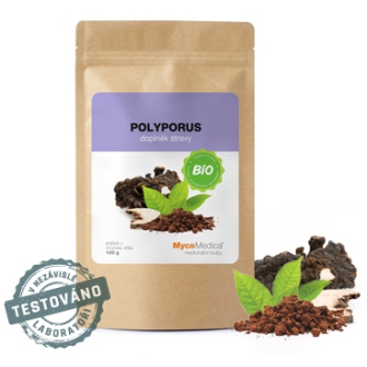 BIO Polyporus prášek 100g