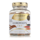 Cordyceps sinensis