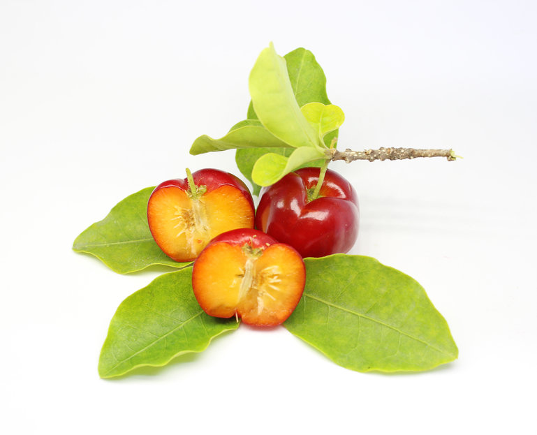Acerola plod
