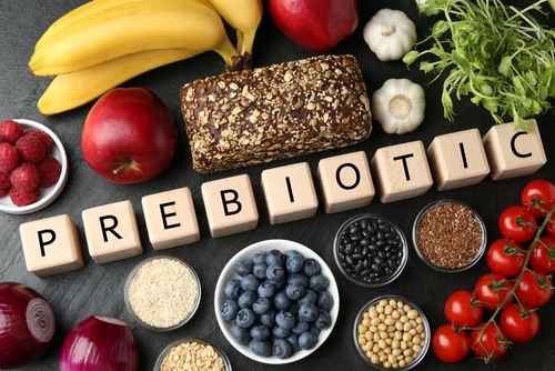 prebiotika